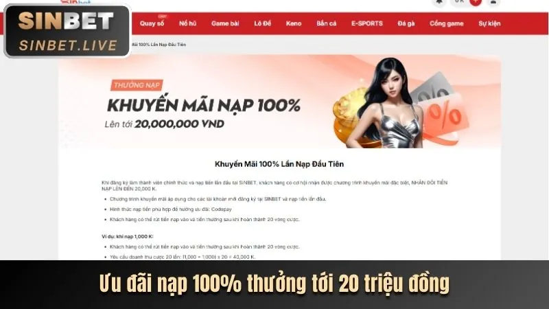 Hoàn Trả Tiền Cược (Cashback)